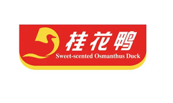 &#20048;&#40060;